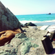 Image for article titled How To Take Your Dog Camping
